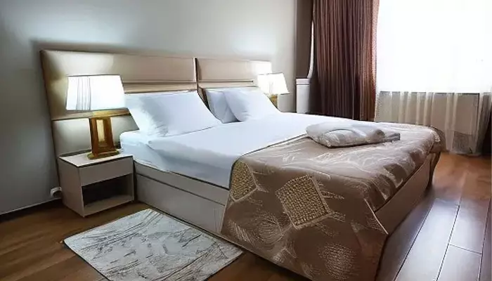 هتل پینو ور پالاس تفلیس هتل پینو ور پالاس تفلیس